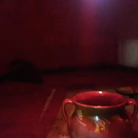 Albina Casa de Férias